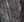 forest_1 Image title missing