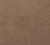 Image title missing