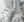 dark_jungle_5 Image title missing