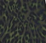 Image title missing