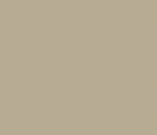 safari Image title missing