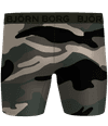 Image title missing