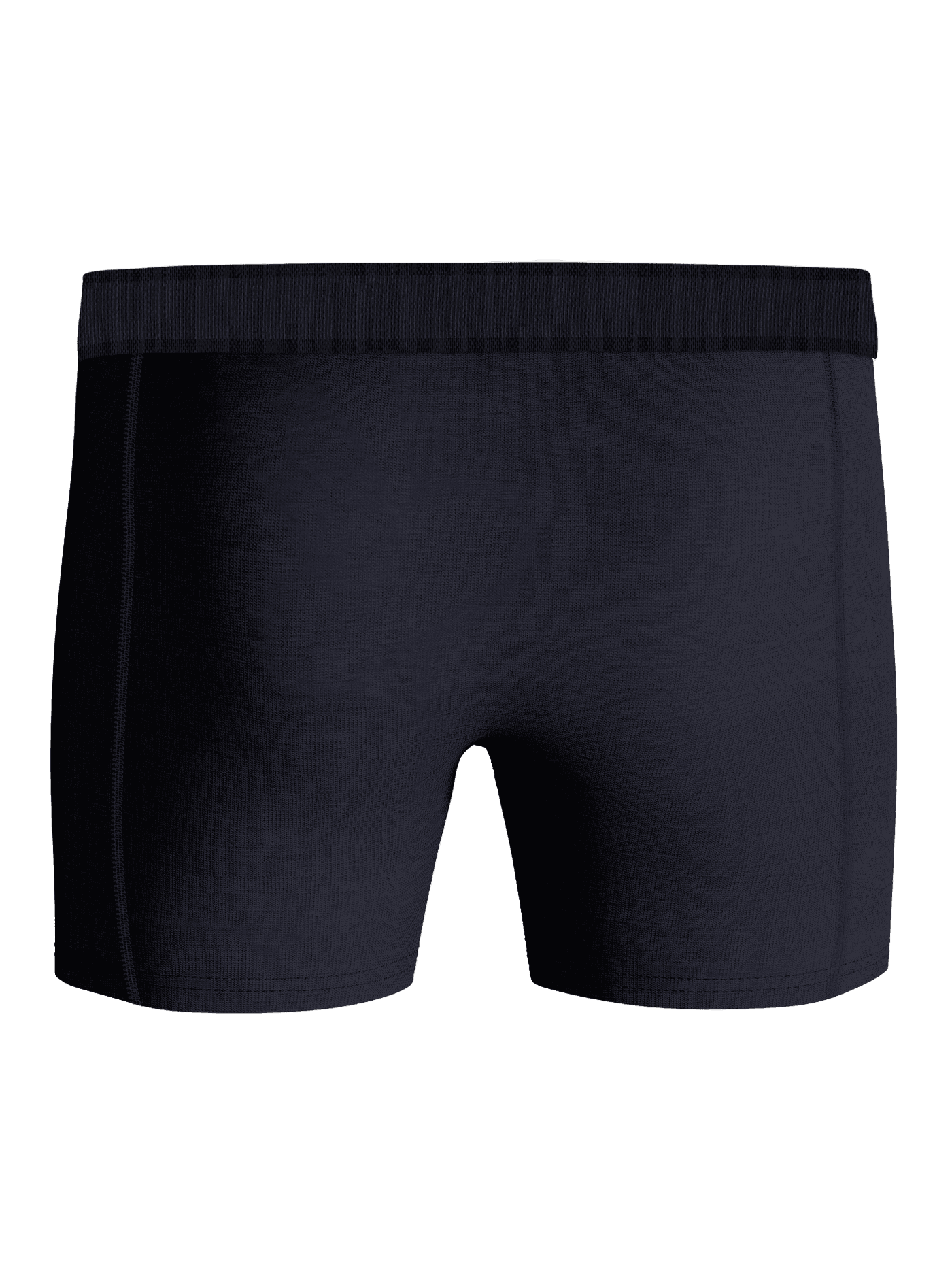 Back view of functional navy blue boxer briefs from the Björn Borg Premium Cotton Stretch Boxer 2-pack in organic cotton. - Image 5