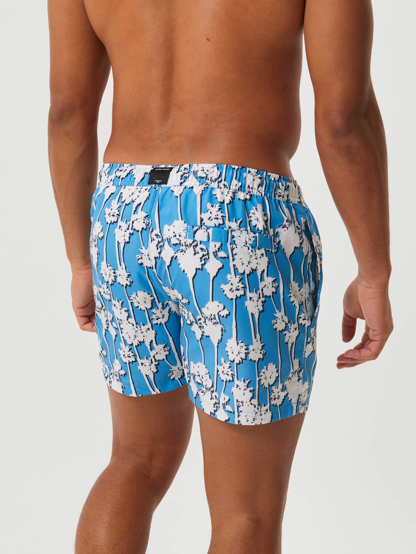 Back view of a man wearing the Borg Print Swim Shorts in Palm Springs Big 1 (blue) with a vibrant palm tree print. - Image 3
