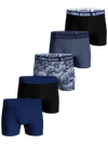 Image title missing