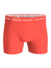 Image title missing
