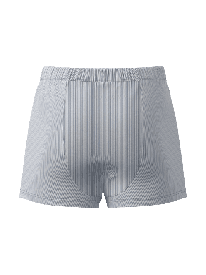 Vue arrière du Cotton Stretch Woven Boxer Shorts 2-pack à rayures bleues et blanches en popeline de coton coupe ample. - Image 3