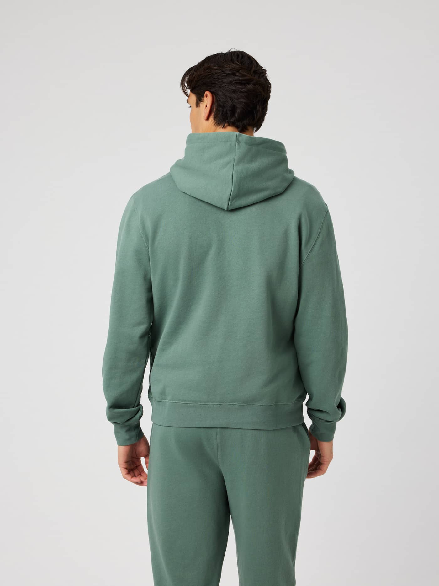 Back view of the Borg Classic Hoodie in Laurel Wreath (green) showing the double-layered hood and regular fit. - Image 2