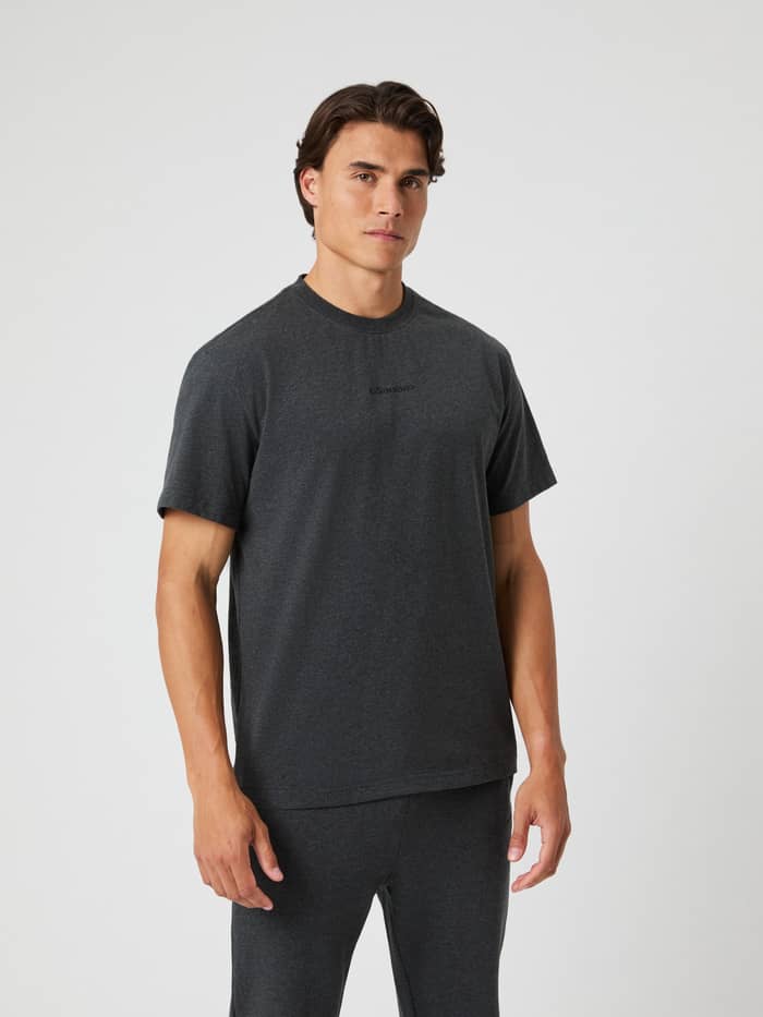 Borg Classic T-Shirt i Dark Gray Melange (Grå) set forfra på en mand med et sort logo i blød bomuld.