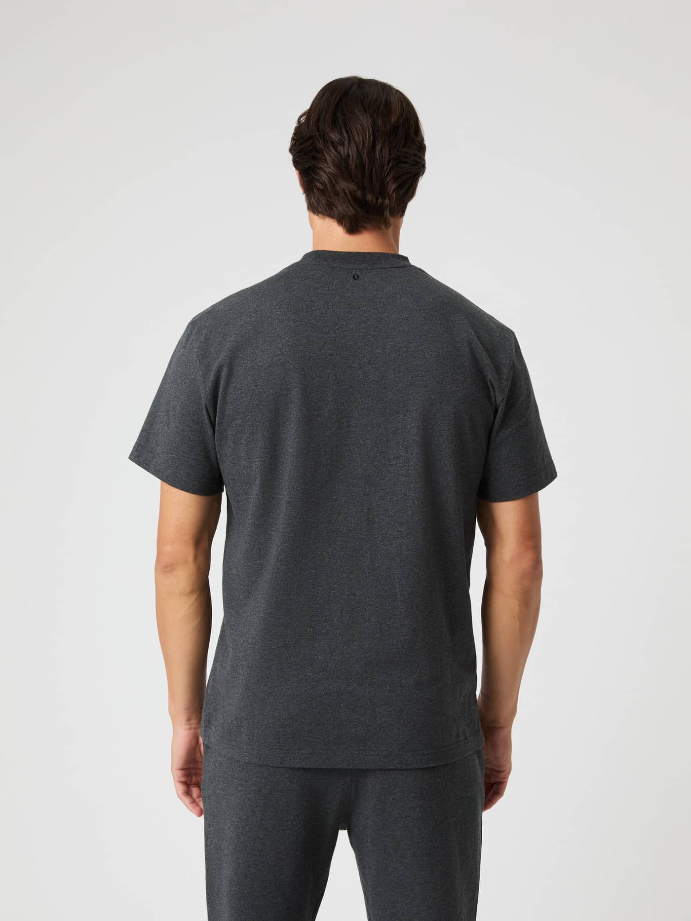 Back view of a man wearing the Borg Classic T-Shirt in Dark Gray Melange (Grey), crafted from soft cotton in a regular fit. - Image 2