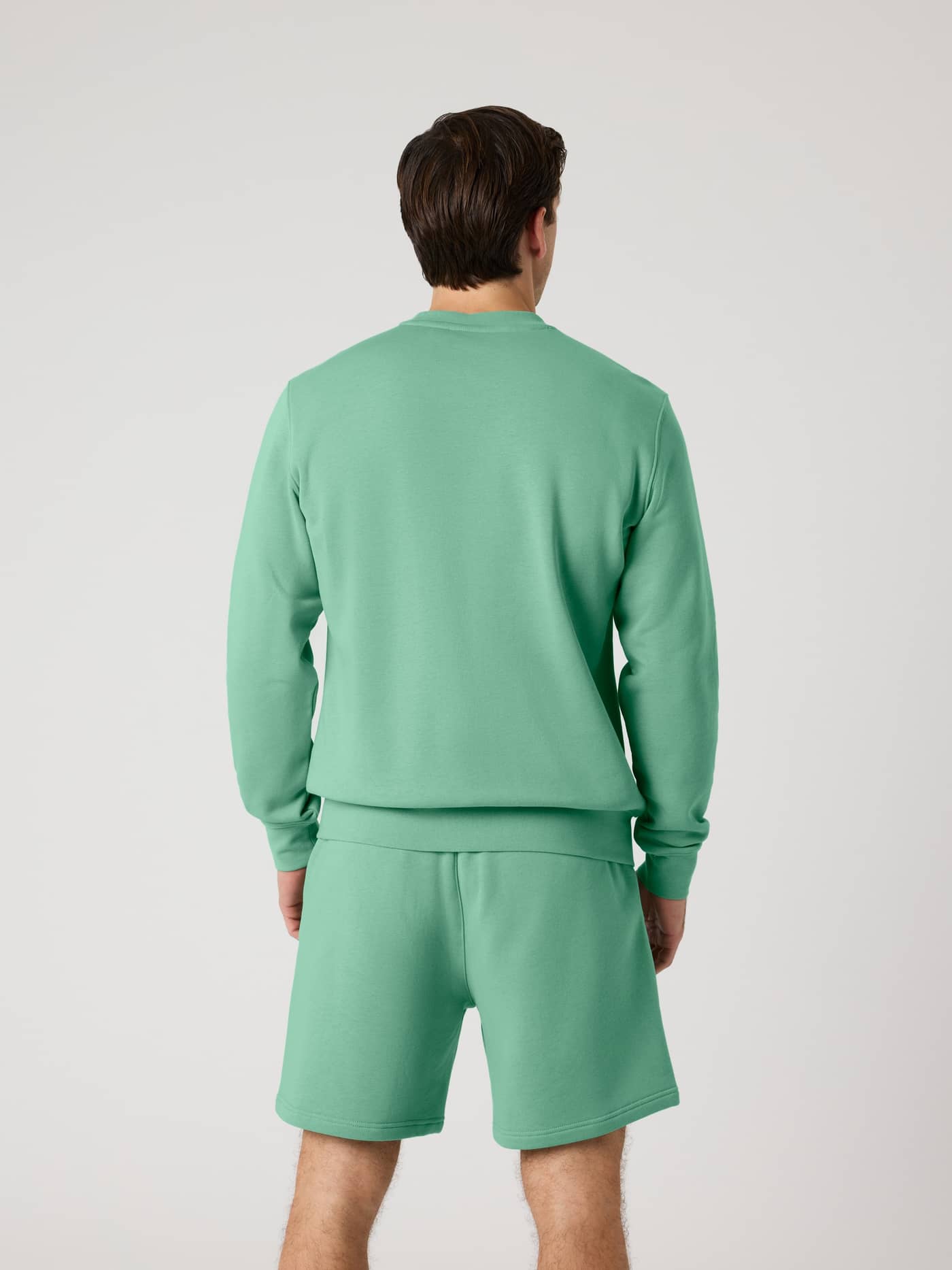 Centre Sweatshirt i Malachite Green (Grøn) set bagfra med en almindelig pasform til en stilfuld hverdag. - Image 3