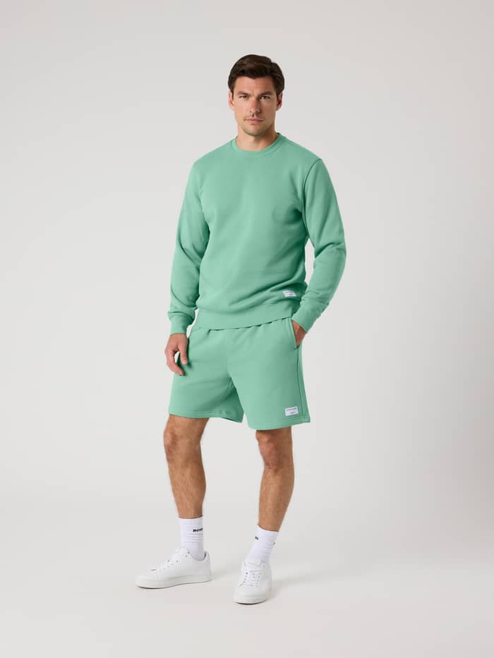 Full-body front view of a man wearing the regular fit Björn Borg Centre Sweatshirt in Malachite Green (Green) and shorts. - Image 4