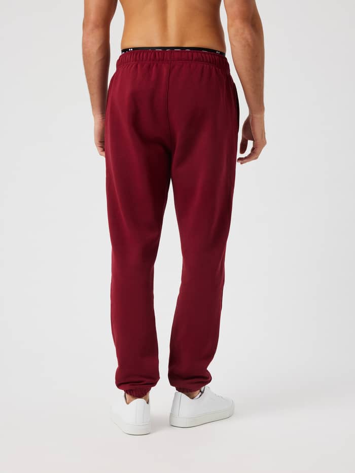 Back view of the Centre Sweatpants in Cabernet (Red) showing the elastic waistband and cuffed hems.