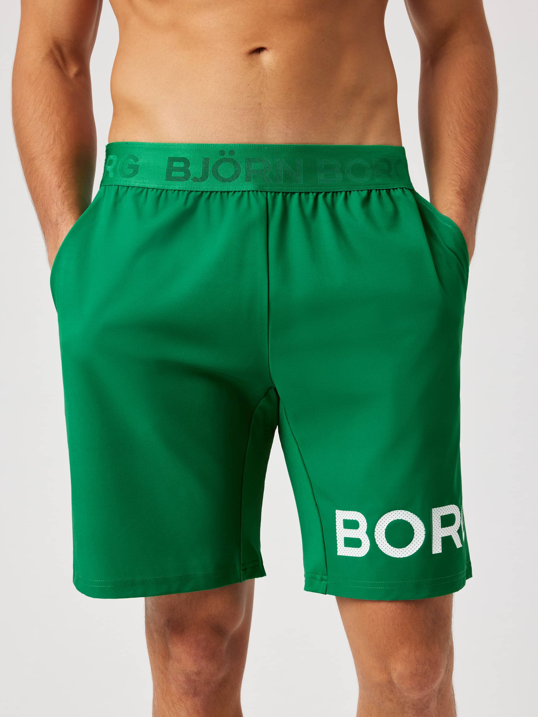 Borg Shorts 9 Inch in Inch Gn044