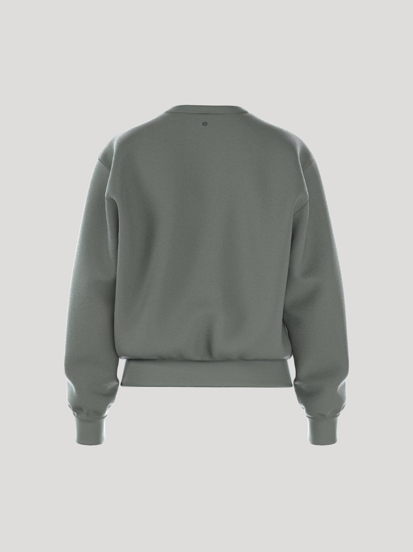 Back view of the loose-fitting Borg Essential 1 Sweatshirt in Agave Green (Green) for women with ribbed cuffs and waist. - Image 3