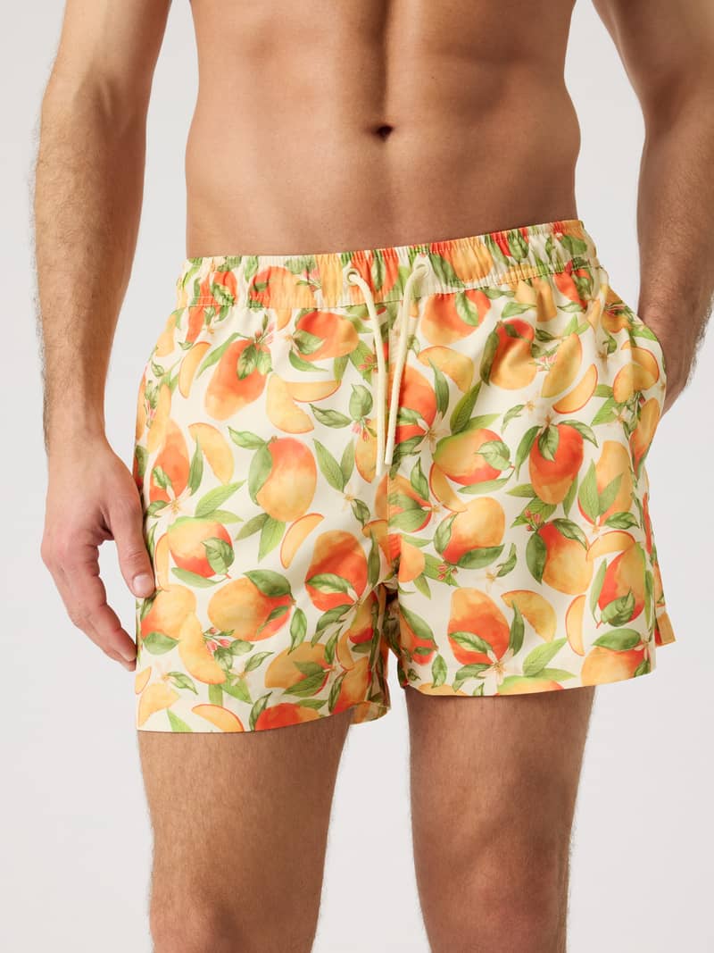 Borg Print Swim Shorts