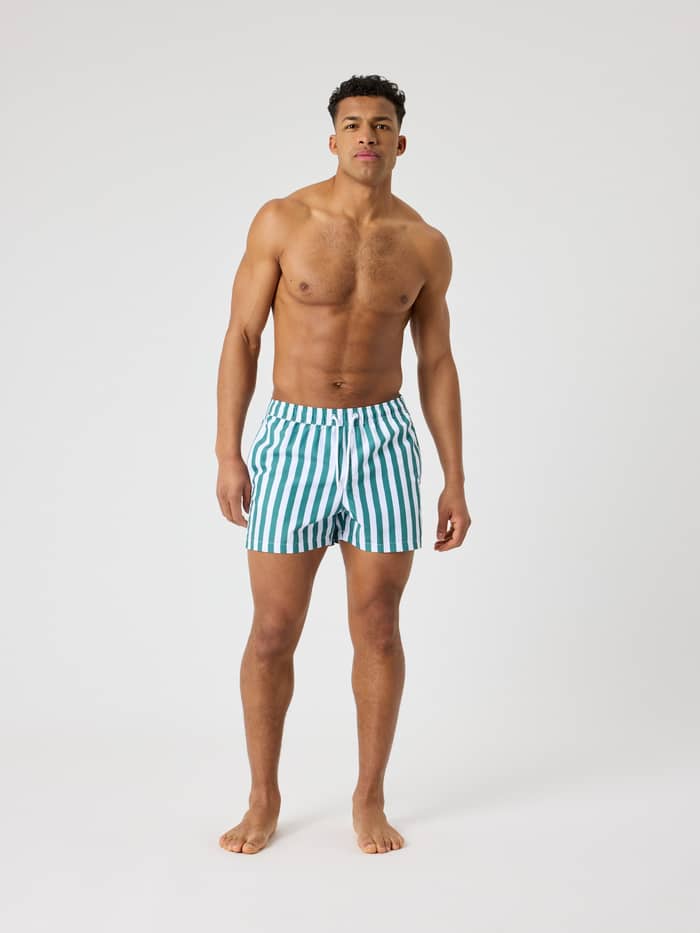Vooraanzicht van een man in de gestreepte Borg Print Swim Shorts in Parasol 2 (Groen en Wit) met een losse pasvorm. - Image 3