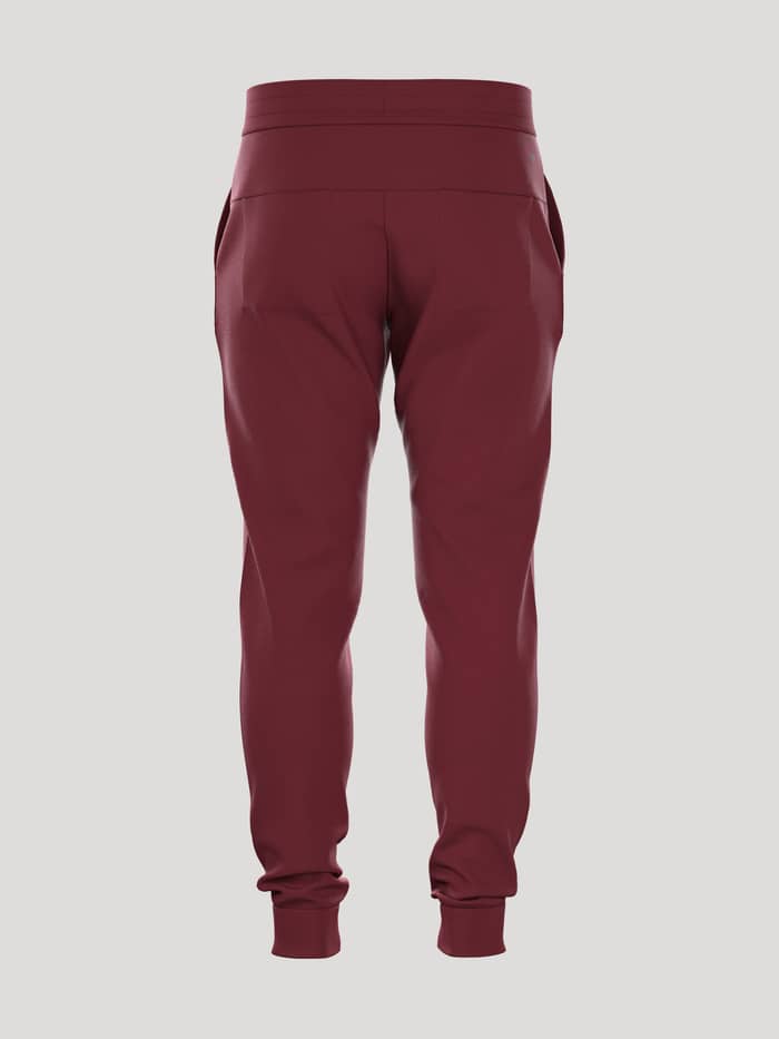 Achteraanzicht van de Borg Essential 3 Sweatpants voor heren in Pomegranate (Rood) met een normale pasvorm. - Image 3