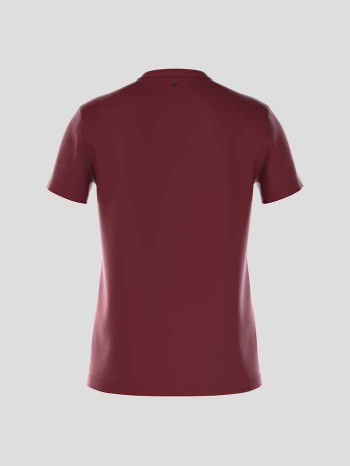 Achteraanzicht van het Borg Essential 3 T-Shirt in Pomegranate (Rood) van 100% katoen met een normale pasvorm. - Image 3