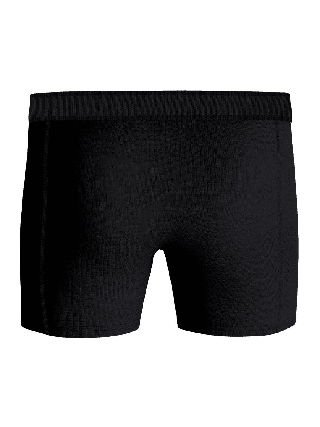 Back view of the Organic Cotton Stretch Boxers 2-pack in Black, these functional boxer briefs feature soft organic cotton. - Image 4