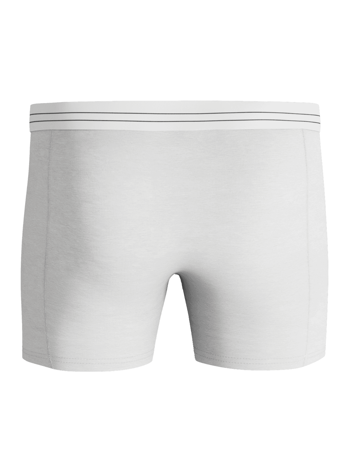 Witte Viscose Cotton Blend Boxers 2-pack met een gestreepte tailleband en functionele pasvorm, achteraanzicht. - Image 4