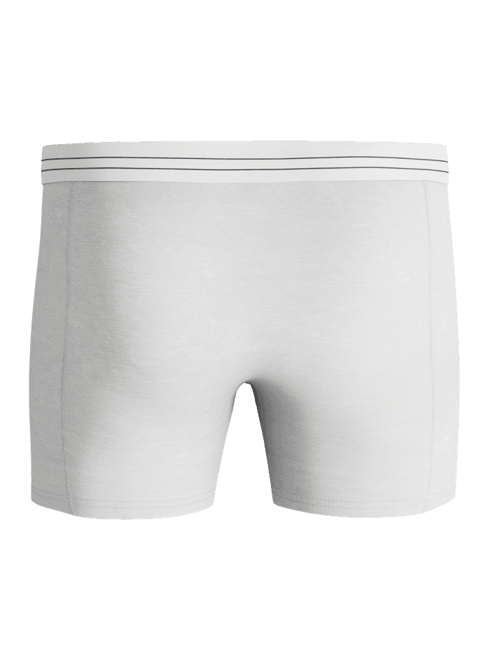 Viscose Cotton Blend Boxers 2-pack i hvid set bagfra med stribet elastik i taljen og funktionel pasform til mænd. - Image 4