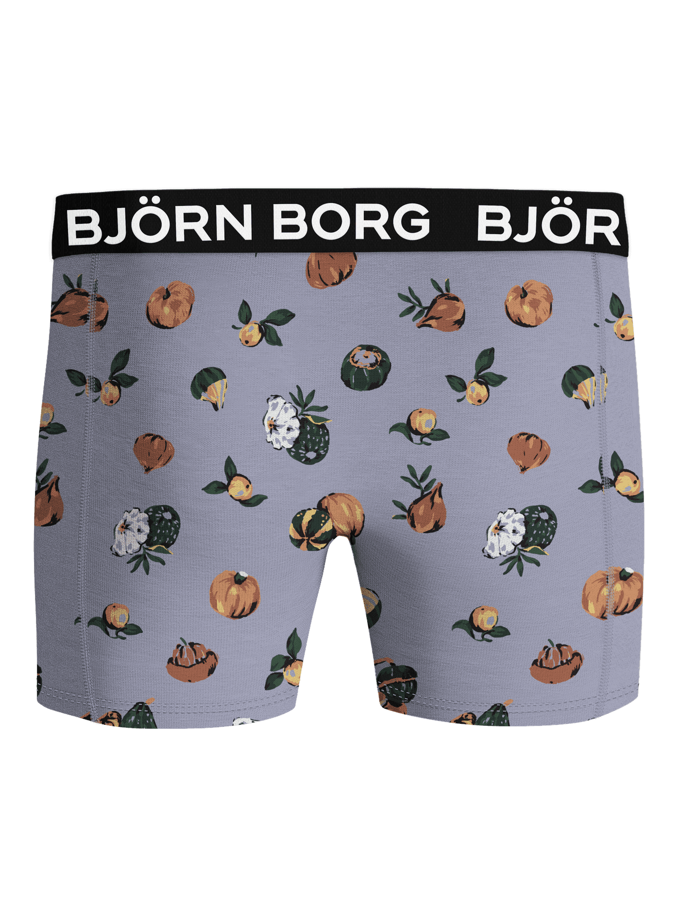 Microfiber Boxers in a purple, orange, and green pumpkin patch print with a functional black and white logo waistband. - Image 2