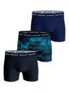 Image title missing