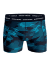 Image title missing