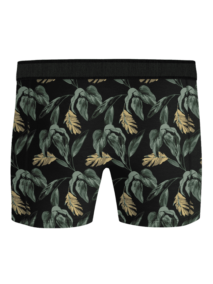 Björn Borg - Organic Cotton Stretch Boxers 2-pack Mehrfarbig - Image 3
