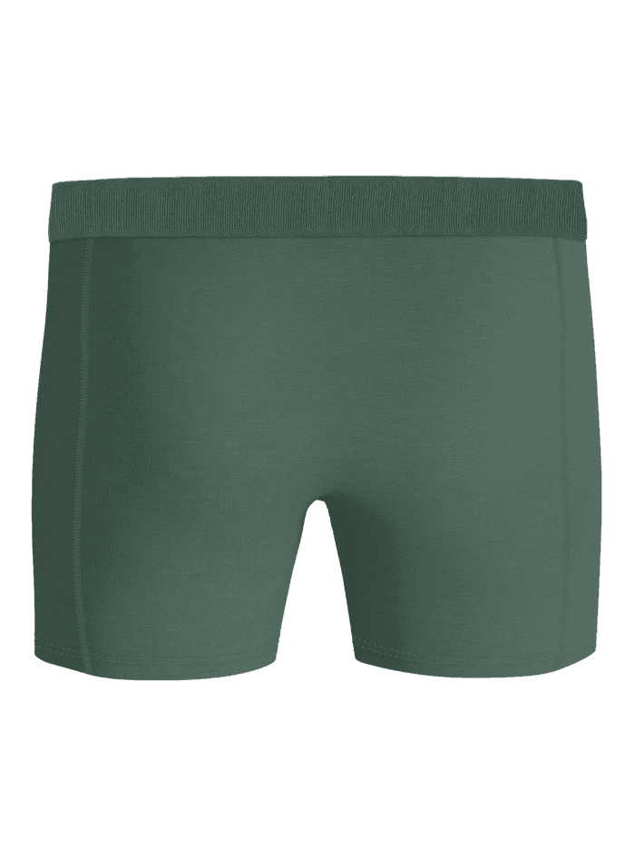 Organic Cotton Stretch Boxers 3-pack i Grøn set bagfra med en behagelig pasform og funktionelt design til mænd. - Image 3