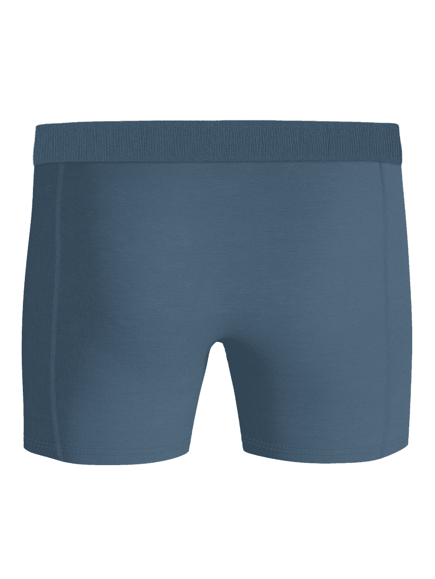 Blå Lyocell Boxers 2-pack i myk Tencel lyocell sett bakfra, designet for hverdagsstil og funksjon. - Image 3
