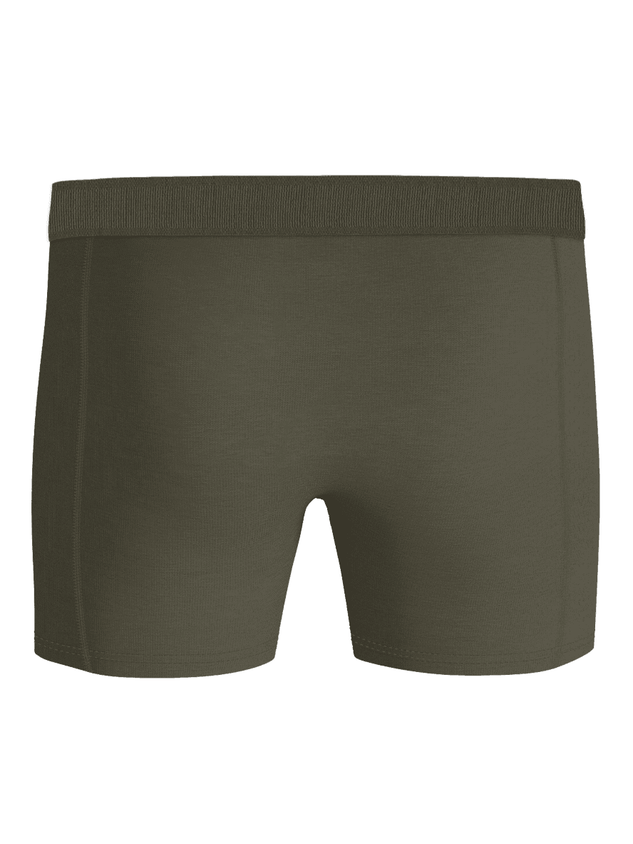 Bakside av grønn Lyocell Boxers 2-pack laget av myk TENCEL™ lyocell for stil og funksjon. - Image 3