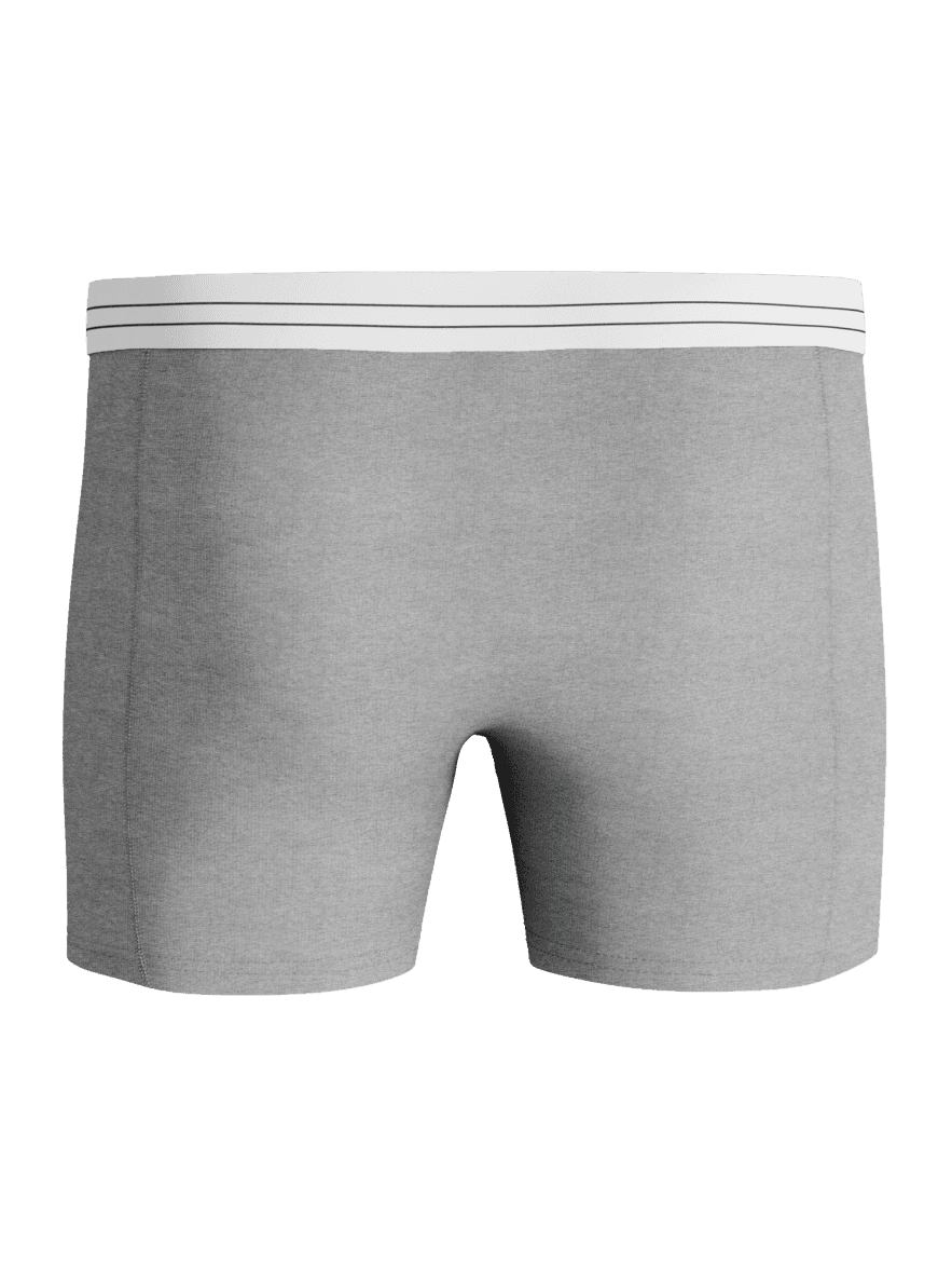 Front view of the melange Björn Borg Viscose Cotton Blend Boxers 2-pack, featuring soft boxer briefs with a striped waist. - Image 3