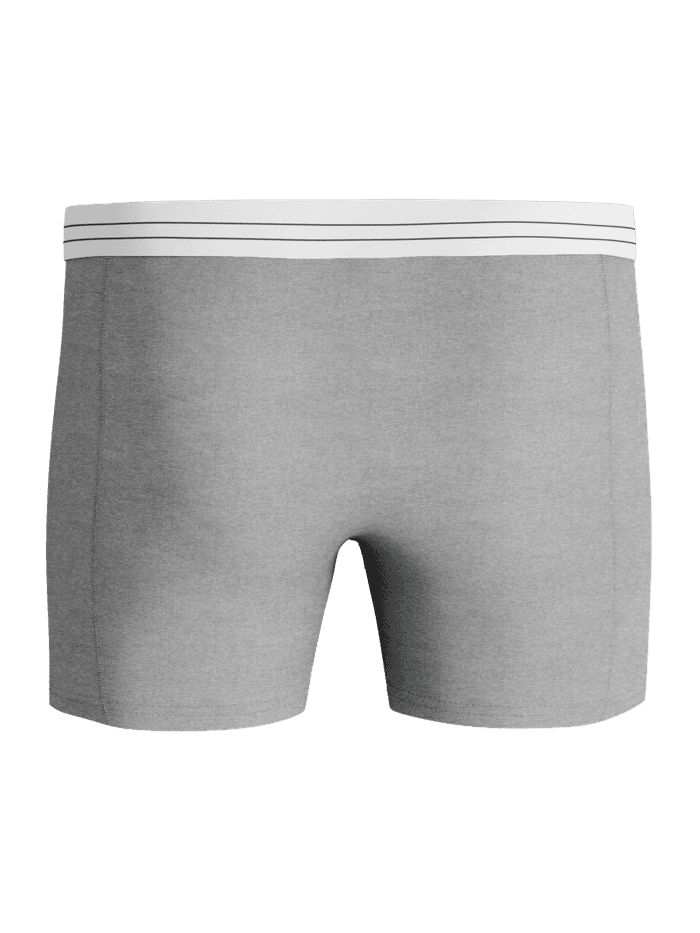 Front view of the melange Björn Borg Viscose Cotton Blend Boxers 2-pack, featuring soft boxer briefs with a striped waist. - Image 3