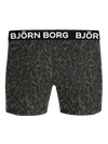 Image title missing