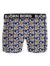 Image title missing