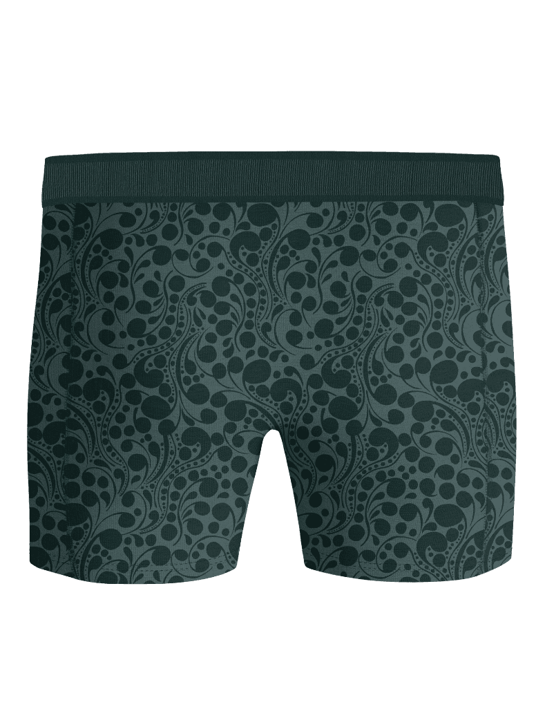 Organic Cotton Stretch Boxers 2-pack i grøn med hvirvelmønster, blød økologisk bomuld og tonal logo-elastik set forfra. - Image 3