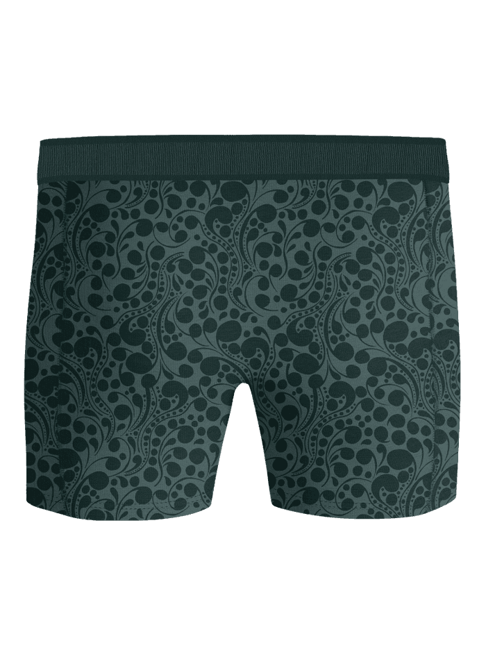 Front view of the Organic Cotton Stretch Boxers 2-pack in green print, with soft organic cotton and tonal logo waistband. - Image 3