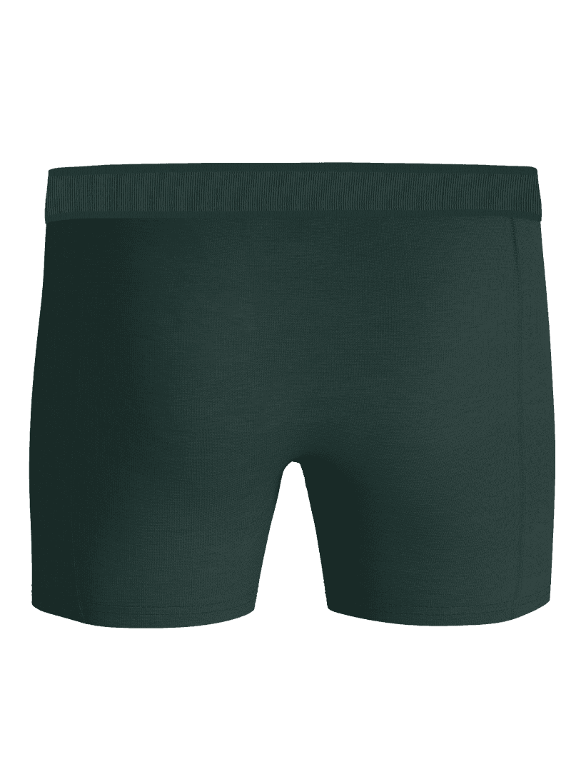 Organic Cotton Stretch Boxers 3-pack i Grøn set bagfra i blød økologisk bomuld med en stilfuld og funktionel pasform. - Image 3