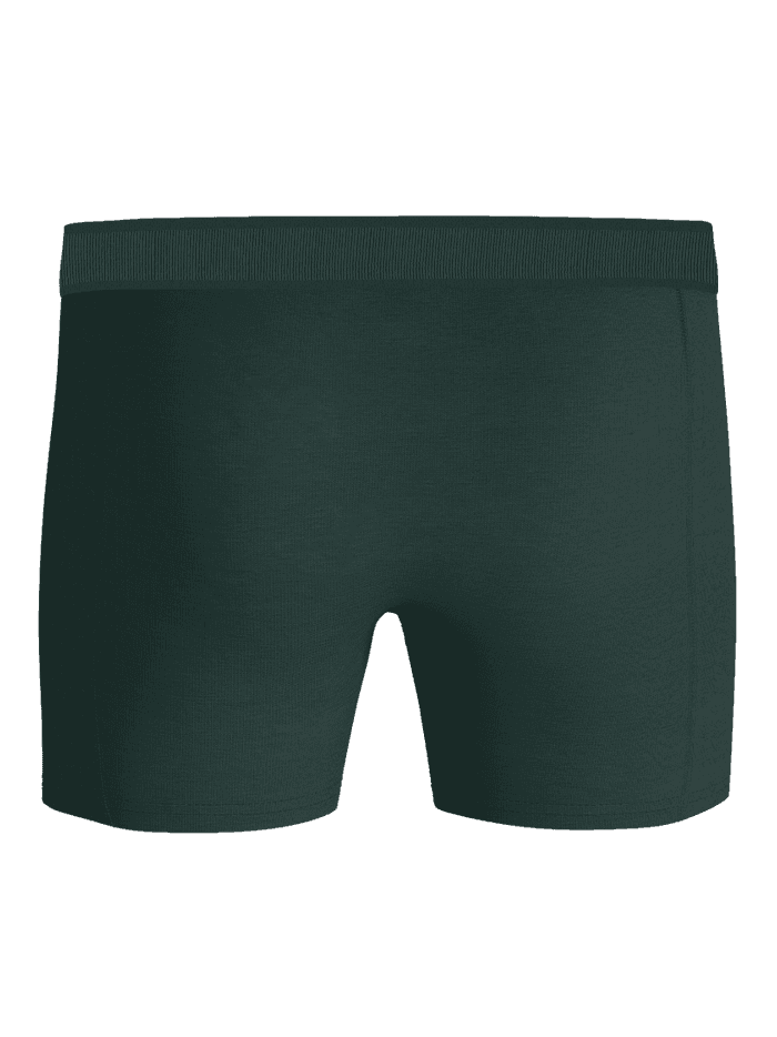 Back view of the green Organic Cotton Stretch Boxers 3-pack, offering a stylish and functional fit in soft organic cotton. - Image 3