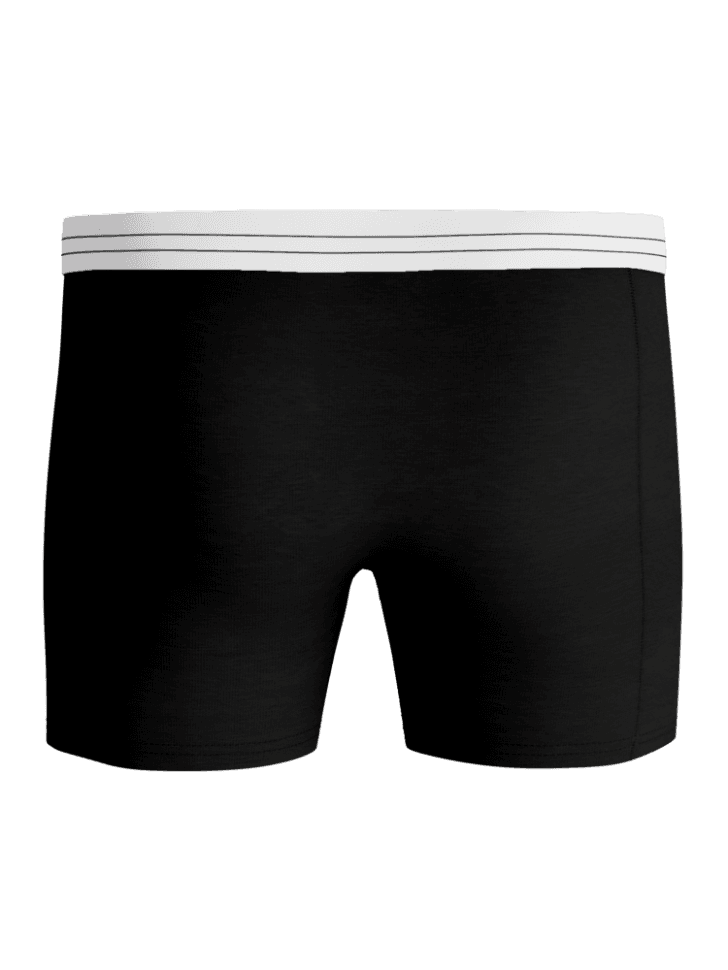 Rückansicht der Viscose Cotton Blend Boxers 2-pack in Black (Schwarz), funktionale Boxer Briefs mit gestreiftem Bund. - Image 3