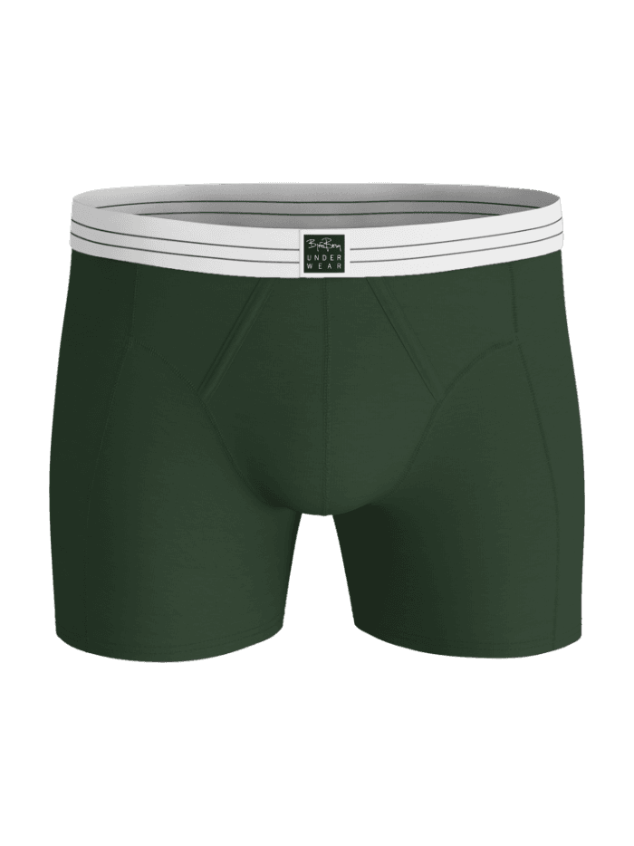Vorderansicht der Björn Borg Viscose Cotton Blend Boxers 2-pack Boxer Briefs in Grün mit Streifenbund und schwarzem Logo. - Image 4