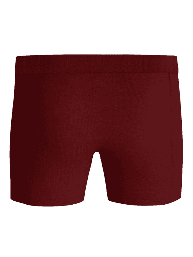 Rückansicht des roten Organic Cotton Stretch Boxers 3-pack aus funktionellem, elastischem Baumwoll-Mix für Herren. - Image 3