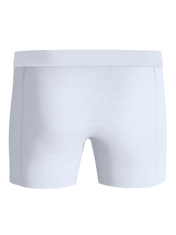 Back view of the white Organic Cotton Stretch Boxers 2-pack, featuring a comfortable fit in soft boxer briefs for men. - Image 3