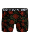 Image title missing