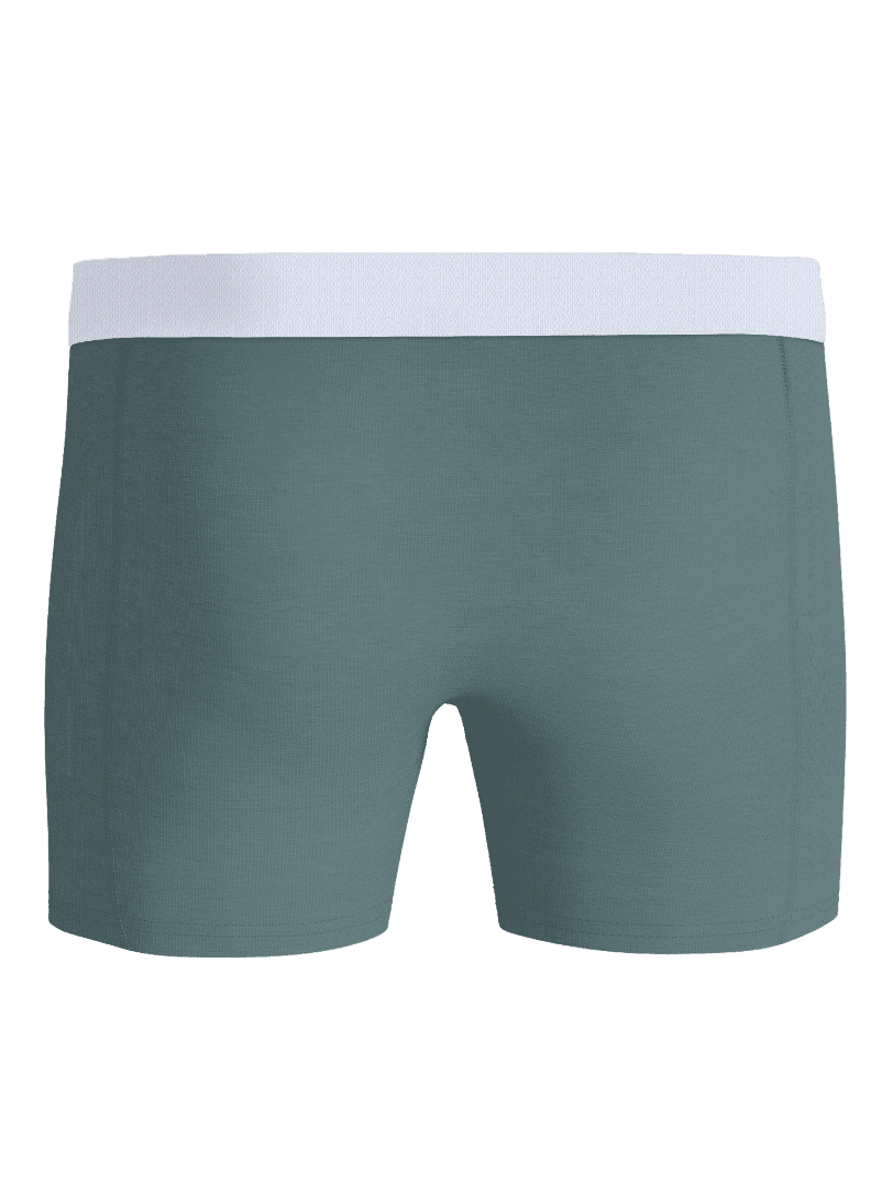 Vista frontal de Organic Cotton Stretch Boxers 2-pack en gris para hombre con ajuste funcional y cinturilla blanca. - Image 3