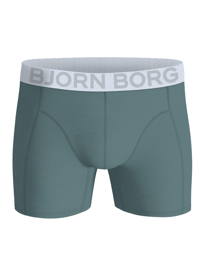 Organic Cotton Stretch Boxers 2-pack i Grey (Grå) i blød bomuld set forfra med et gråt logo på linningen. - Image 2