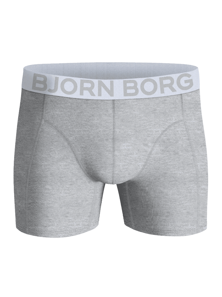 Vista frontal de Organic Cotton Stretch Boxers 2-pack en Gris con cinturilla blanca y logotipo Björn Borg en gris. - Image 4