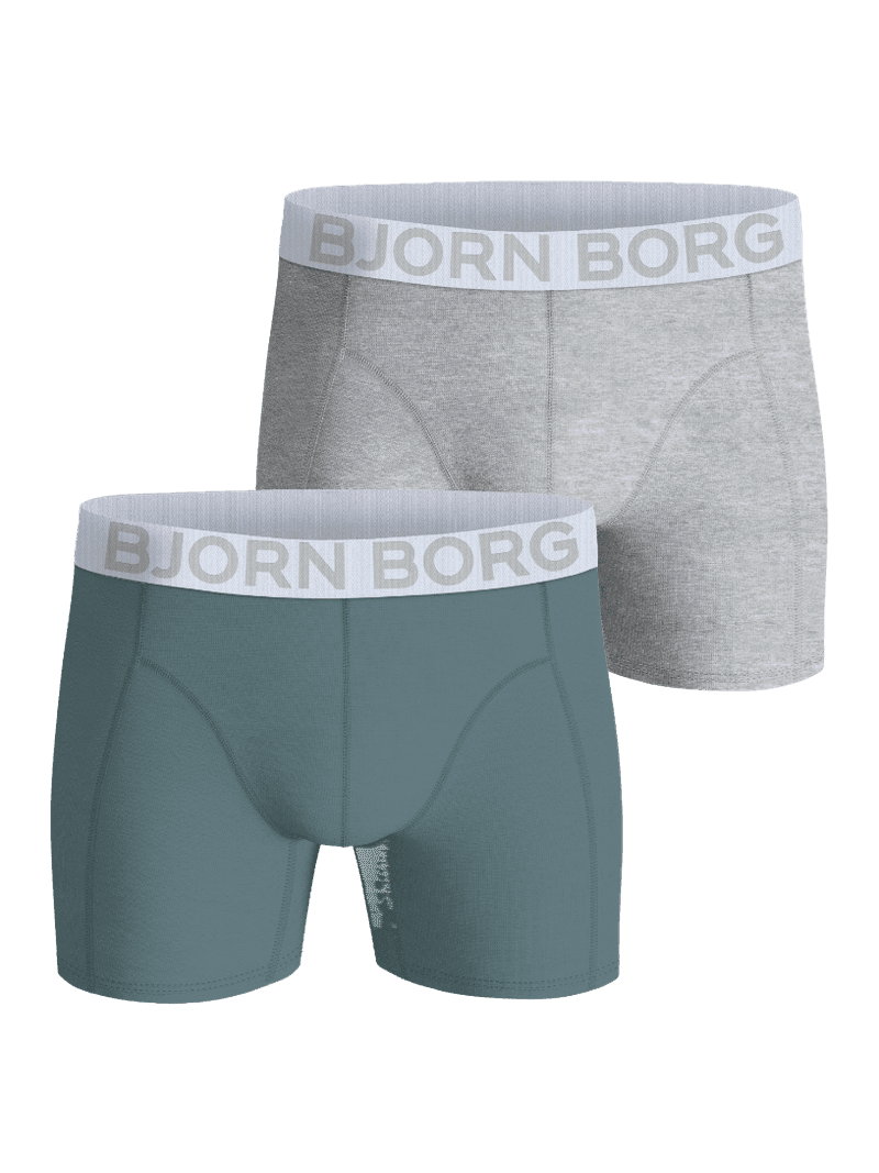Organic Cotton Stretch Boxers 2-pack